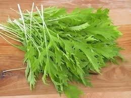 Mustard Mizuna Great Heirloom Vegetable By Seed Kingdom BULK 1/4 Lb Seeds