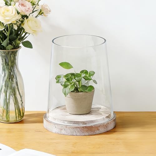 6" Wide Glass Hurricane Candle Holders with Handmade Sturdy Glass Sleeves and Distressed Brown Wood Base for Pillar Candle & Plants, Industrial, Farmhouse, Display Cloche Bell Jars, Table Centerpiece - Image 6