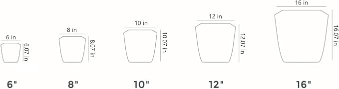 The HC Companies Aria Self Watering Square Plant Pot w/Drainage - Planters for Outdoor Plants & Indoor Plants - Lightweight & UV-Resistant Plastic Pots for Plants (8" Glossy Black, Pack of 2)