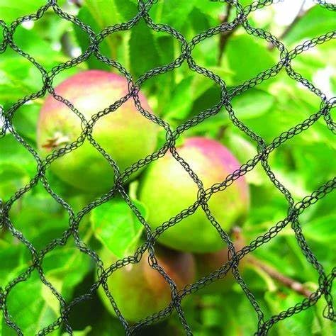 7.5x65 Ft Deer Netting, 1/2 in Strong Woven Bird Netting for Garden Protection, Bird Net for Blueberry Bushes, Strawberry Plants, Vegetables, Against Deer, Squirres, Small Critters