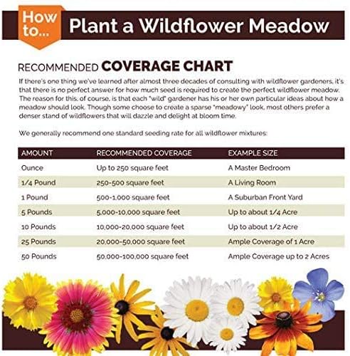 ~ Annual Gaillardia Seeds, Indian Blanket Flower -Gaillardia pulchella (1/4 Lb) 56,250 Seeds Non GMO Bulk