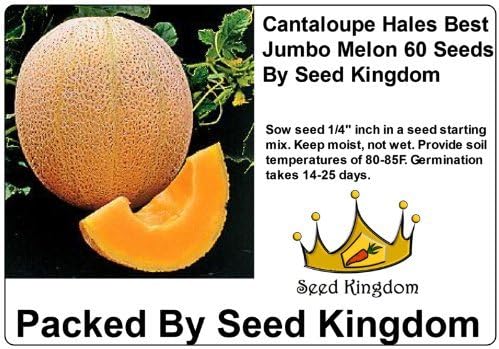 Cantaloupe Hales Best Jumbo Melon Heirloom Vegetable By Seed Kingdom (60 Seeds)