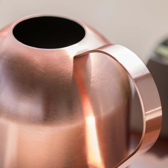Stainless Steel Water Can for Indoor Plants and Garden (Rose Gold 50 oz)