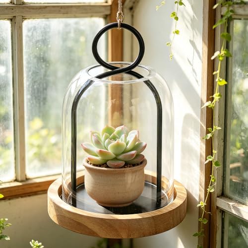 7.5" High Versatile Black Metal Candle Holder with Handmade Sturdy Glass Dome and Natural Wooden Base for Pillar Candle & Plants, Industrial, Farmhouse, Shabby Chic, Display Cloche Bell Jars - Image 5