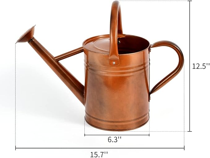 Metal Watering Can for Outdoor and Indoor Plants, Watering Can Decor, 1 Gallon (1 Gallon Copper)