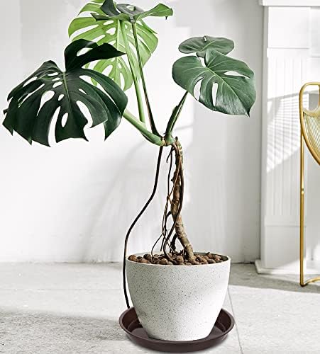 VUWEZ 6 Pack of 12 inch Plant Saucer, Plastic Plant Saucer 12" Round, Plant Saucers for Indoors, Plant Water Tray, Plant Trays for Pots, Planter Tray, Plant Saucers for Planter 11-13" (12", Brown)