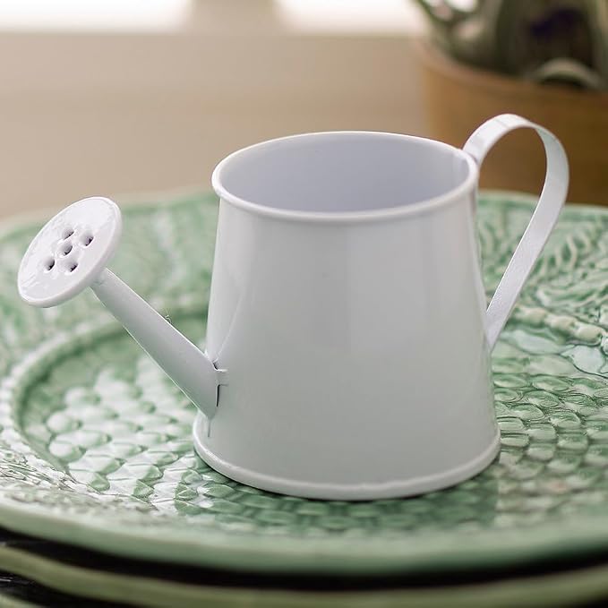 Fun Express Mini Watering Can Tabletop Decorations - 12 Pieces - Great for Spring and Garden Home Decor, Weddings and Other Table Centerpieces