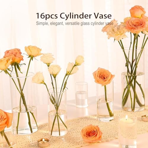TBWIND 16pcs 4/6/8/10 Inch Clear Glass Cylinder Vases for Centerpieces - Image 7