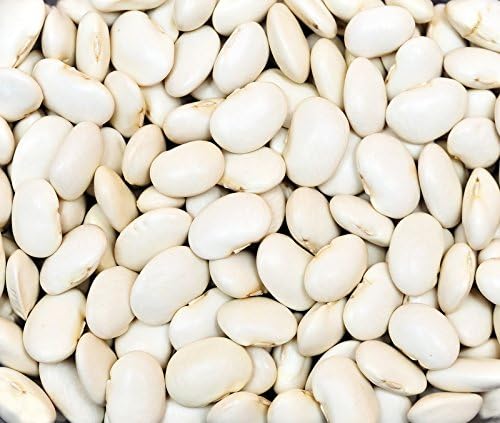 Bean Dry Great Northern Great Heirloom Garden Vegetable By Seed Kingdom 30 Seeds