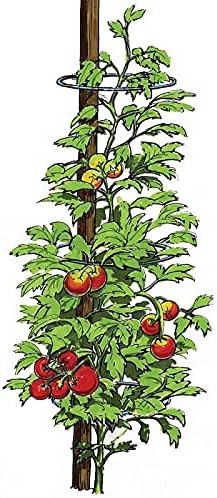 Veggie Cage No Tie Tomato Bean Pea Support Rings USA Made 10.5 inch Pack of 6
