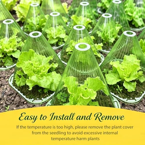 Fshow Garden Cloches,20 Pack Reusable Plant Bell Cover,Bell Jar Cloches for Protection Against Sun, Frost, Snails Etc. (Green) - Image 6
