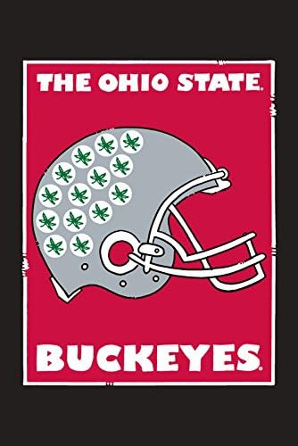 Collegiate Garden Flag (Ohio State Helmet)