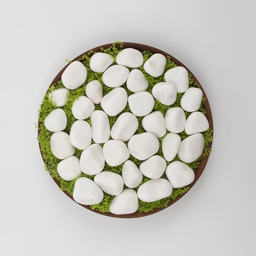 10 lbs White Polished Decorative Stones, 0.5-1 Inch Landscape Rocks for Indoor Plants, Garden, Outdoor Pathways, Vase Fillers, Pots, Glass Containers, and Craft Pro (Pure White, Weight: 10 LB)