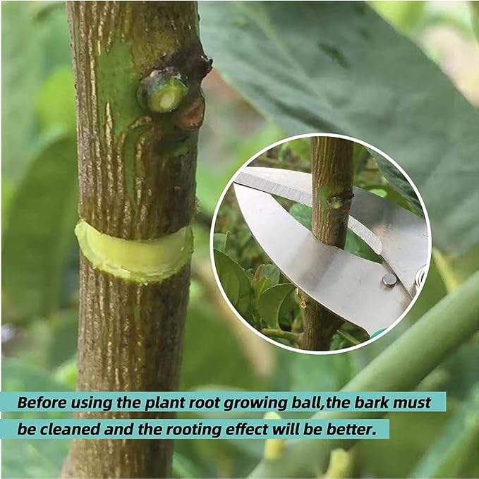 Air Layering pods, Reusable Plant Rooting Device Plant Rooting Grow Box High Pressure Propagation Ball Grafting Device Botany Root Controller Garden Plant Rooter Box (2″×6PCS), Transparent