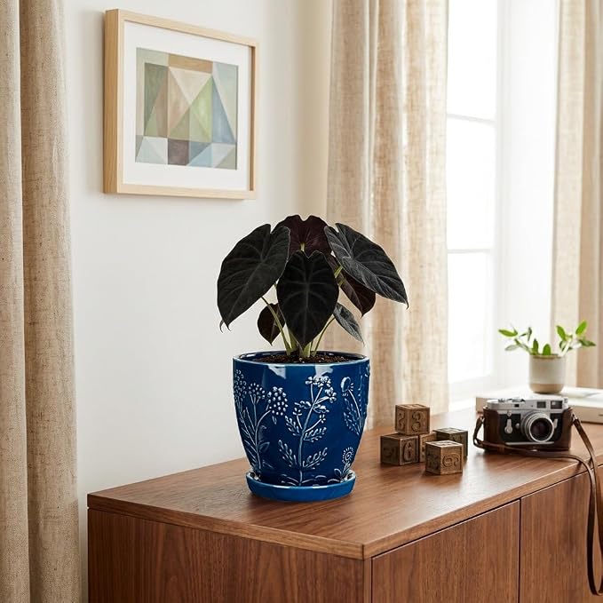 Hollyone 6 Inch Blue Ceramic Planter Flower Plant Pot with Drainage Hole and Saucer for Plants Embossed Indoor Outdoor Garden Embossed Ceramic Glazed Round Pot for Succulent Orchid Floral Pattern