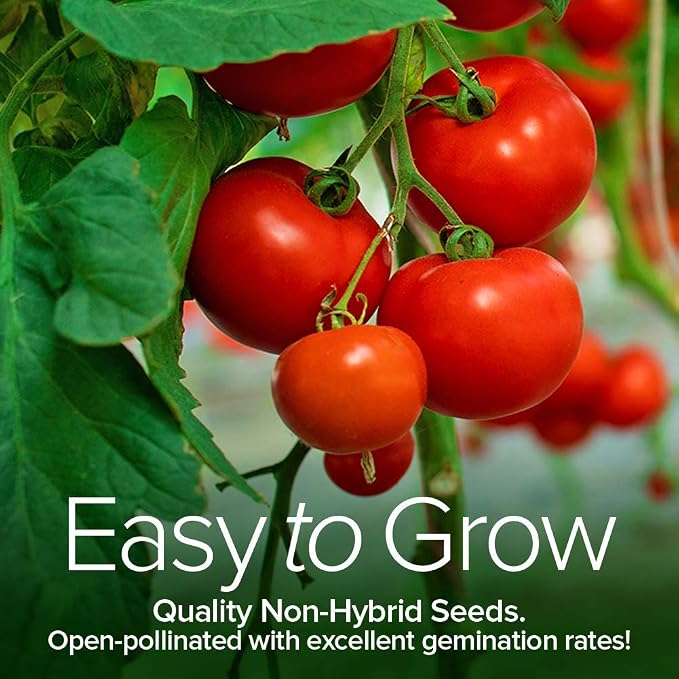 Tomato Growing Kit β Grow 8 Varieties of Delicious Tomatoes β Non-GMO Heirloom Seeds, Complete Indoor & Outdoor Tomato Seed Kit, Our Tomato kit is Perfect for Home Gardens & Fresh Cooking