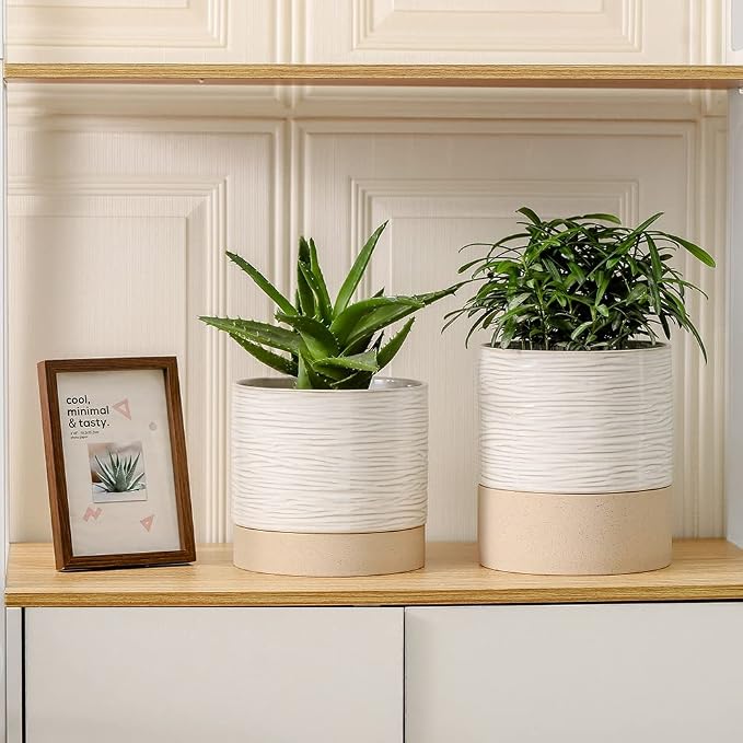 Nihow Ceramic Self Watering Plant Pot for Indoor Plants, 6 Inch,Cream White | Planter with Cotton Wick, Drainage Hole & Water Storage Plus, Cylinder Round Flower Pot, For Succulent/Herbs/Violets