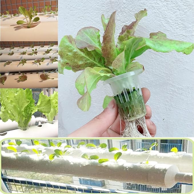 INTBUYING PVC Hydroponics Growing System, 36 Sites 4 Pipes Grow Kit for Leafy Vegetables, 4 Layers Vertical Hydroponic Kit with with 110V Pump, Inner Set Hose, Basket, Planting Sponges