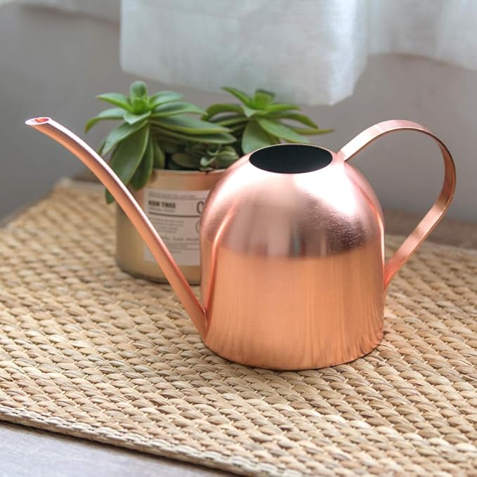 Watering Can for Indoor Plants, 30oz Long Spout Stainless Steel | Long Spout Design Delivers Precise Watering Directly To Plant Roots