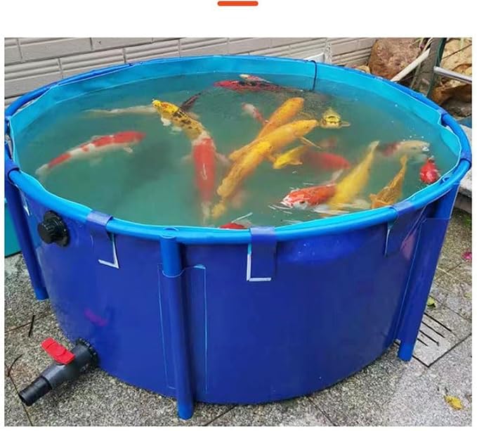 Aquaculture Tank, Folding Fish Pond, Canvas Fish Pond Pool, Fish Pond Liner | Pool Above Ground with framed, for Store Up Water Irrigation Aquatic Products Breeding Pond 78 x 32 IN (2400 L)