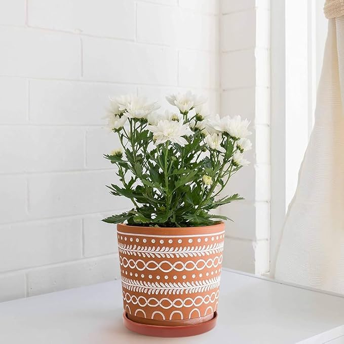 Yukfona Ceramic Plant Saucer Tray 1 Pcs 8 Inch Red Terracotta, 8.5"OD x8.15"ID x1"Deep| Fits flower pots Bottom≤ 8.15", Heavy Duty Glazed Round Planter Drip with Catch Basin for Indoor Outdoor Plants