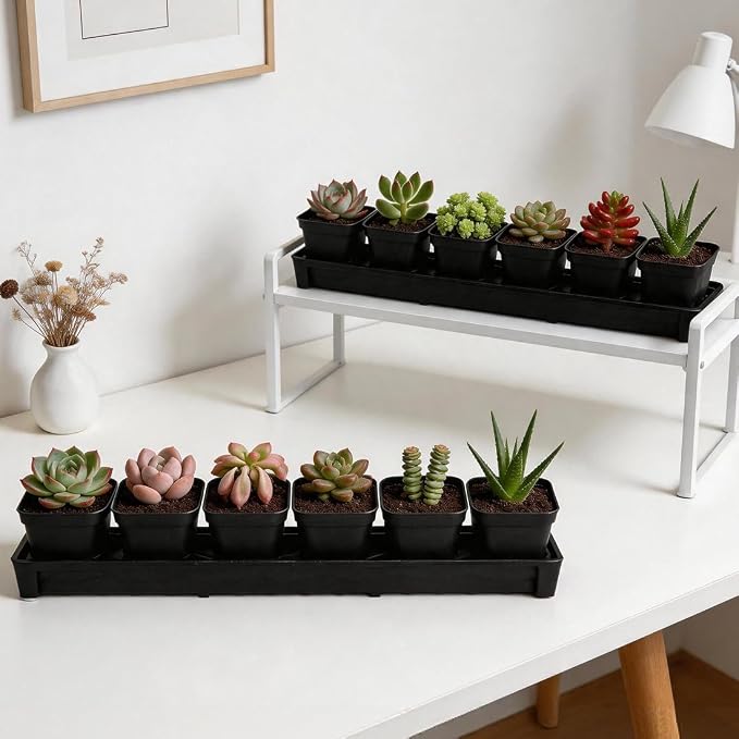 RooTrimmer 10 Pack Plastic Windowsill Saucer with 2.8 inch (7CM) Square Nursery Pots 60pcs, Rectangular Window Sill Plant Pot Trays with Removable Drainage Hole, Thick Plant Saucer Tray (Black)