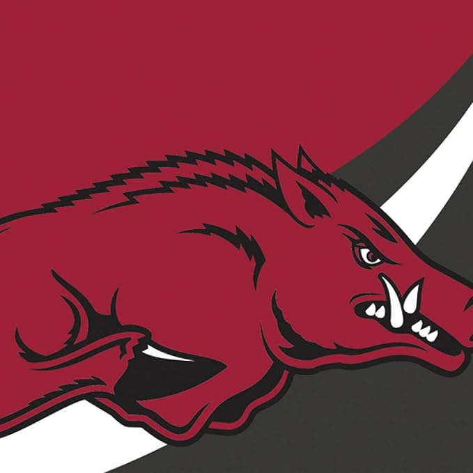 Team Sports America NCAA University of Arkansas House Flag, 28 x 44, Double Sided Garden Flags for Outside, Outdoor College Flags & Banners for Garden Patio, Indoor Wall Decor Flag for Room