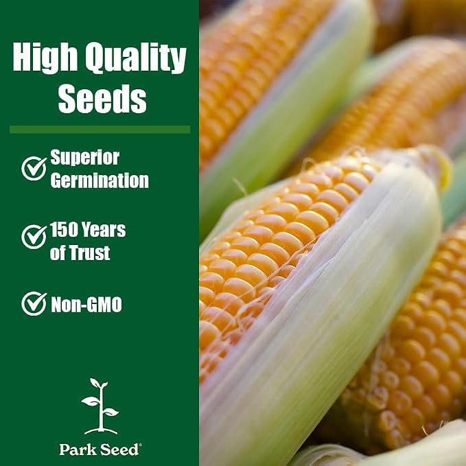 Park Seed 3 Sisters Collection – Grow Corn, Beans & Squash Together for Mutual Support, Includes Ambrosia Corn, Algarve Climbing Beans & Organic Crookneck Squash – Pack of 320 Seeds