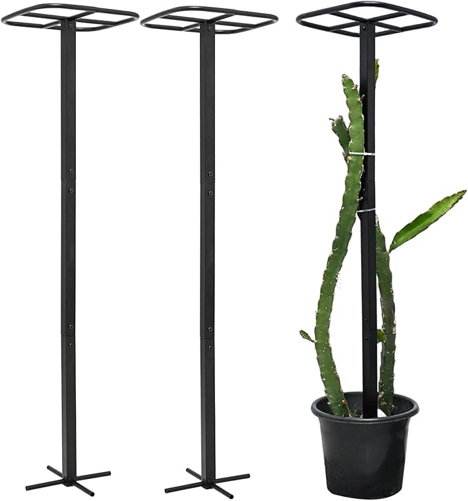 Yohsnor 2-Pack Metal Dragon Fruit Trellis - Durable Vertical Garden Support for Climbing Plants, Easy to Assemble, 12x12x50 Inches for Dragon Fruit Enthusiasts