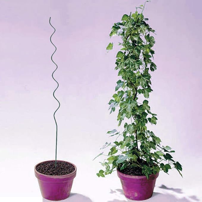 10 Pack Green 59 inch Height Dia 6mm Twisted Tomato Stakes Plant Supports Spiral Tomato Cages,Climbing Plant Stake Tower Plant Supports Twist Tomato Stakes