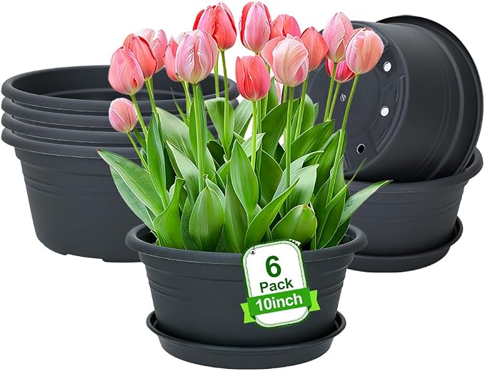 MRPAPA 6Pack Round Plastic Pots for Plants, Outdoor Planters with Drainage Hole & Tray Saucer, Decoration Large Flower Pots for Indoor Outdoor Garden Home Plants (6, Dark Gray, 10 Inch)