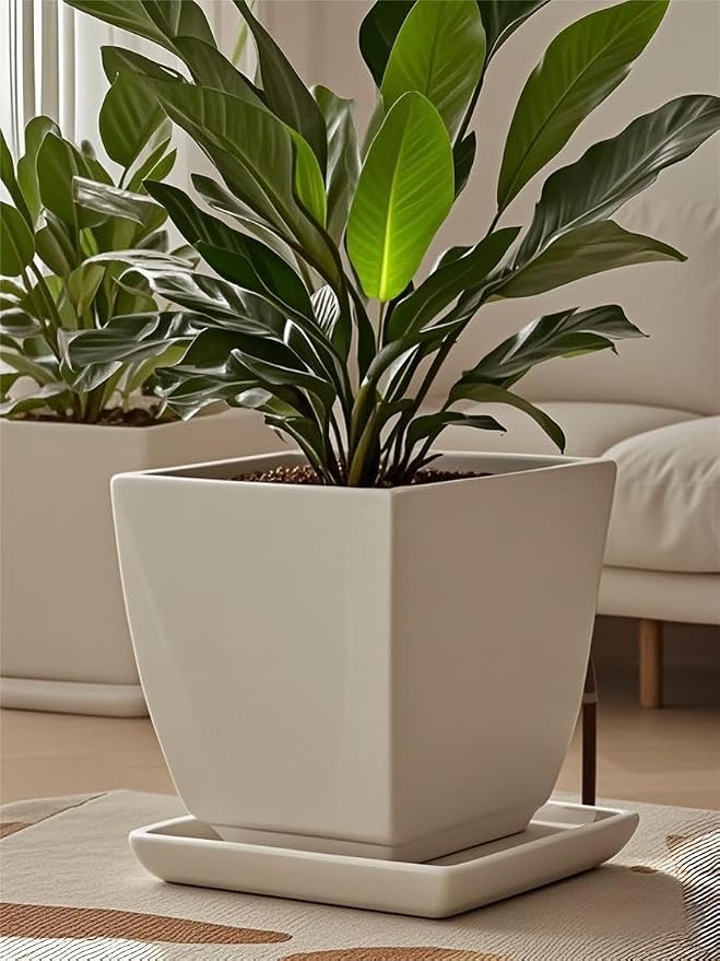 Square Ceramic Plant Saucer Tray 12 13 14 Inch White,14" OD x12.2 ID x1.6 Deep, Sturdy Heavy Duty Glazed Planter Drip Flower pots with Catch Basin for Indoor Outdoor Plants(14" White)