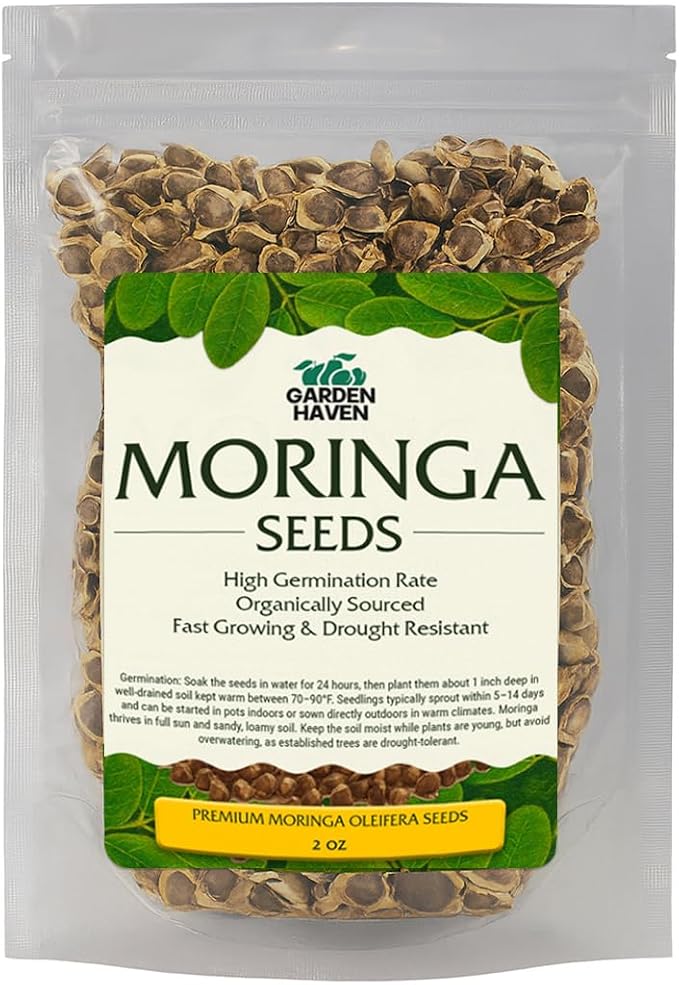Moringa Oleifera Growing Kit, Moringa Seeds Complete Starter Set with 2 oz Seeds, 5 Peat Pots, Soil Discs, Plant Markers, Fast Growing Drought Resistant
