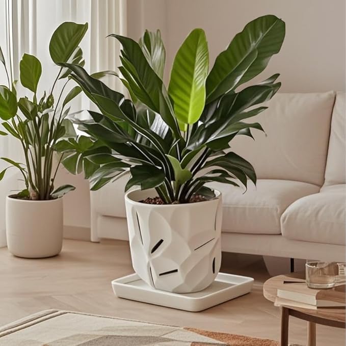 Square Ceramic Plant Saucer Tray 2 Pcs 8 9 10 Inch White, 9.3" OD x8.3 ID x1.3 Deep, Sturdy Heavy Duty Glazed Planter Drip Flower pots with Catch Basin for Indoor Outdoor Plants(10" White)