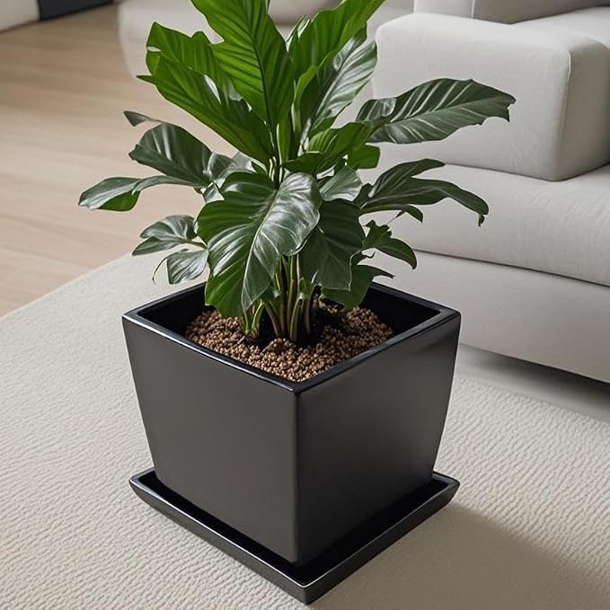 Square Ceramic Plant Saucer Tray 12 13 14 Inch Black,14" OD x12.2 ID x1.6 Deep, Sturdy Heavy Duty Glazed Planter Drip Flower pots with Catch Basin for Indoor Outdoor Plants(14" Black)
