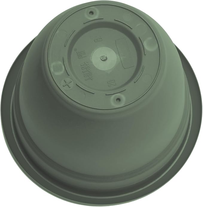 Bloem Ariana 16" Self-Watering Plastic Planter - Rolled Rim Indoor/Outdoor Garden Pot, Basil, 2-Pack