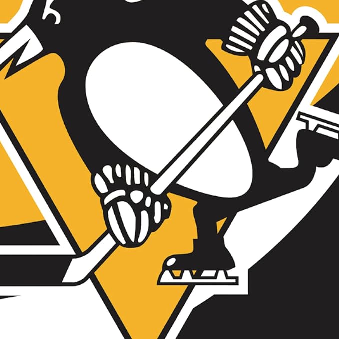 Team Sports America NHL Pittsburgh Penguins House Flag, 28 x 44, Double Sided Garden Flags for Outside, Outdoor Flags & Banners for Gardens Patio, Indoor Wall Decor Flag for Room