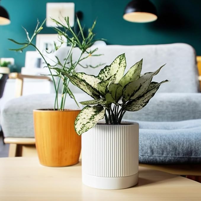 HERDUK 6 Inch Ceramic Plant Pot with Drainage & Saucer - Indoor Planter for Succulents, Cacti & Aloe Vera - Striped Design, High-Temp Fired Clay, Lightweight Modern Decor White