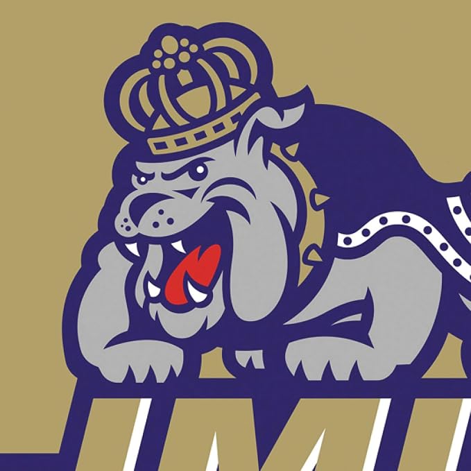 Team Sports America NCAA James Madison University House Flag, 28 x 44, Double Sided Garden Flags for Outside, Outdoor College Flags & Banners for Garden Patio, Indoor Wall Decor Flag for Room