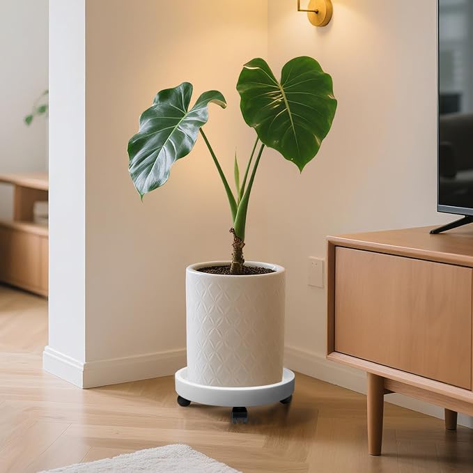 2Pack 12.4'' Plant Caddy with Wheels, Plant Stand Dolly for Heavy Planter,Wheeled Planter Saucer Tray,Rolling plant stand,Heavy-Duty Plant Caddy with Casters for Indoor and Outdoor(White)