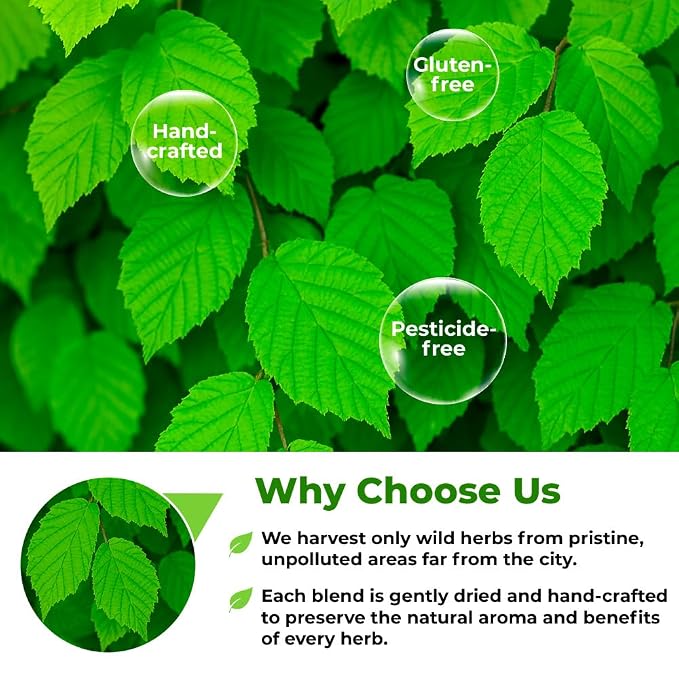2 oz. Hazel Leaf Herbal Tea (Folium Coryli avellanae) – 56g Dried Hazel Leaf Tea Hojas de Avellano