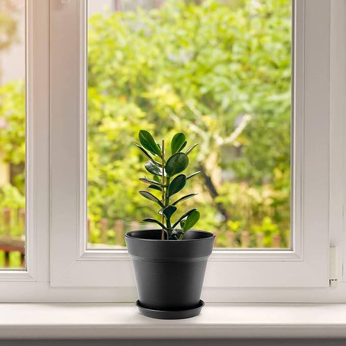 4 Inch Plastic Plant Pots 6 Pack, Small Flower Pots with Drainage Holes and Tray, Thickened Indoor Planters Seedlings Nursery Pots, African Violet, Succulent and All House Plants, Green