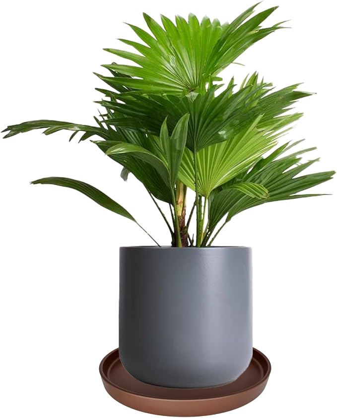 Yukfona Ceramic Plant Saucer Tray 2 Pcs 8 Inch Brown, 8.5" OD x8.15 ID x1 Deep| Fits Flower pots Bottom≤ 8.15", Heavy Duty Glazed Round Planter Drip with Catch Basin for Indoor Outdoor Plants