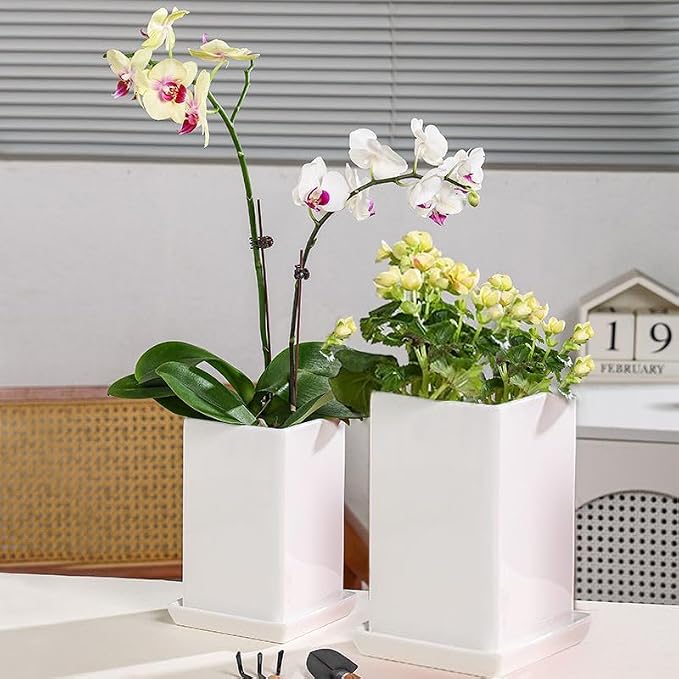 Square Ceramic Plant Saucer Tray 2 Pcs 5 6 Inch White, 6.6" OD x5.5 ID x1.1 Deep| Sturdy Heavy Duty Glazed Planter Drip Flower pots with Catch Basin for Indoor Outdoor Plants(6" White)