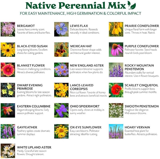 Grow Your Own Vibrant Perennial Wildflower Garden Seeds Mixture, Varieties for Pollinators and Spring Gardens - Native Perennial Mix, 5 lbs