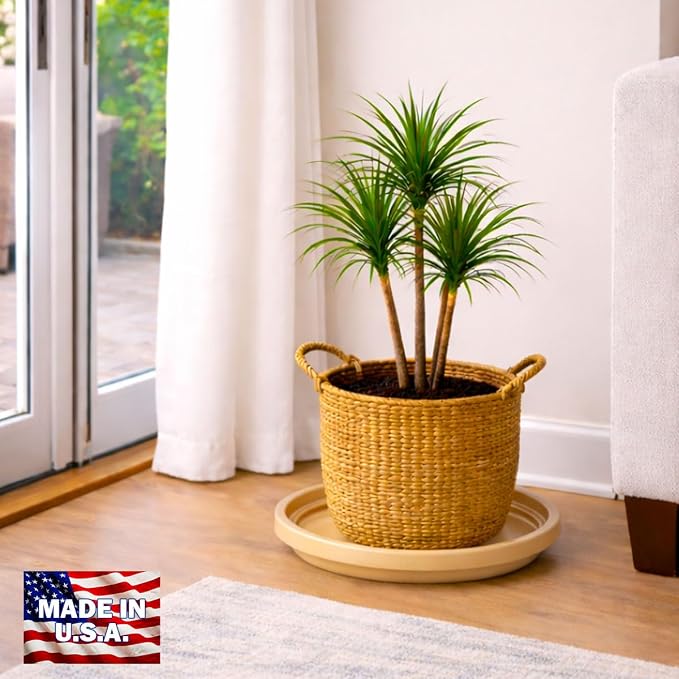 10 Inch Plant Pot Tray USA Made – Durable Plastic Flower Pot Saucer – Plant Water Catcher for Indoor Outdoor Garden (6, Desert Sand)