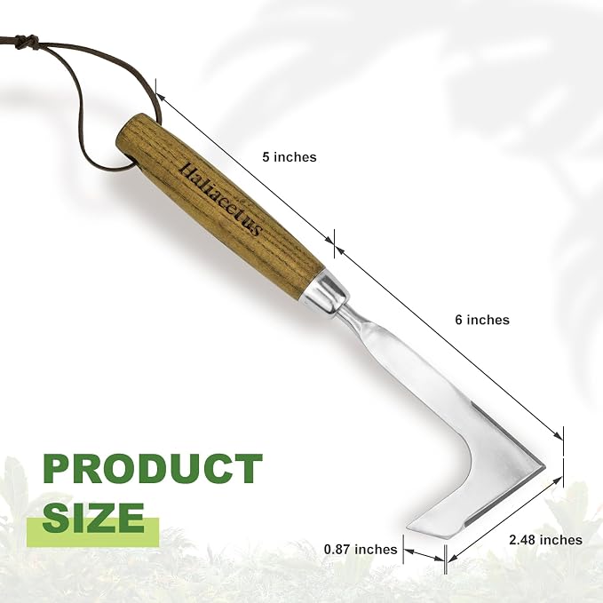 Haliaeetus Crack Weeder, L-Shape Stainless Steel Crevice Weeding Tool, Comfortable Grip Wood Handle Paver Weeder, 11'' Sidewalk Weed Removal Tool for Garden Lawn, Bricked Patio and Terrace Paving Moss