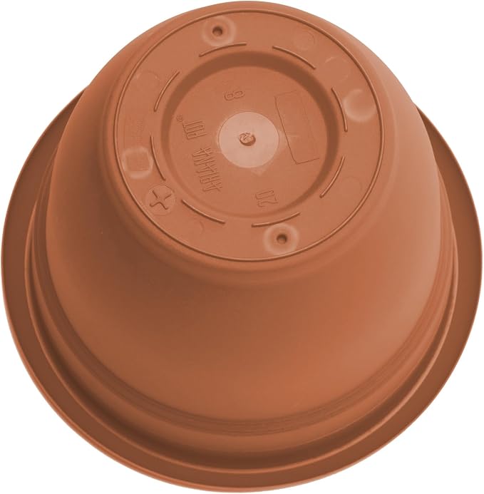 Bloem Ariana 10" Self-Watering Plastic Planter - Rolled Rim Indoor/Outdoor Garden Pot, Terra Cotta, 2-Pack