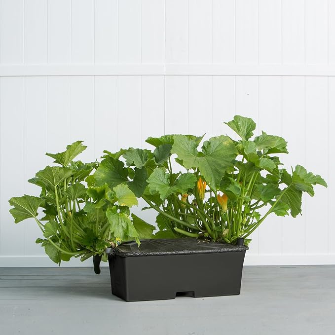 EarthBox® Container Gardening System - Black