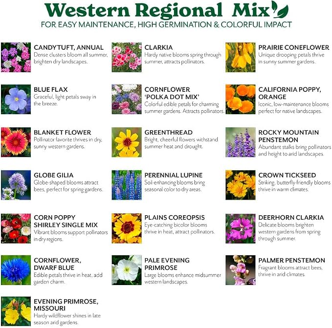 Grow Your Own Vibrant Annual and Perennial Wildflower Garden Seeds Mixture, Varieties for Pollinators and Spring Gardens - Western Regional Mix, 50 lbs